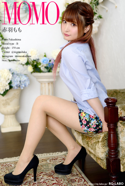 �ԉH����/OL����2