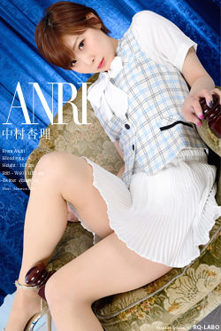 中村杏理 OL制服3 DVD-ROM