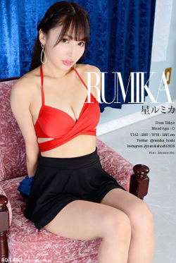 星ルミカ OL制服2＋ビキニ水着 DVD-ROM