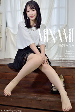 姫野みなみ OL制服2＋水着 DVD-ROM