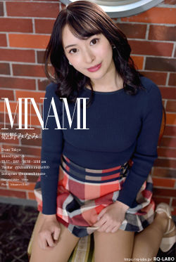 姫野みなみ 私服3＋ビキニ水着 DVD-ROM
