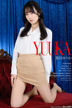 葉月ゆうか OL制服1＋ビキニ水着 DVD-ROM