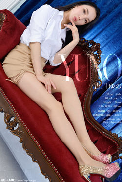 吉川ゆの OL制服2 DVD-ROM