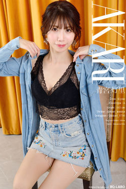 青宮灯里 私服2 DVD-ROM