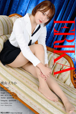 桃山えりか OL制服2 DVD-ROM