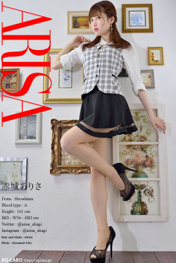 赤城ありさ OL制服2 DVD-ROM