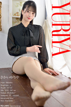 さかいゆりや OL制服2 DVD-ROM